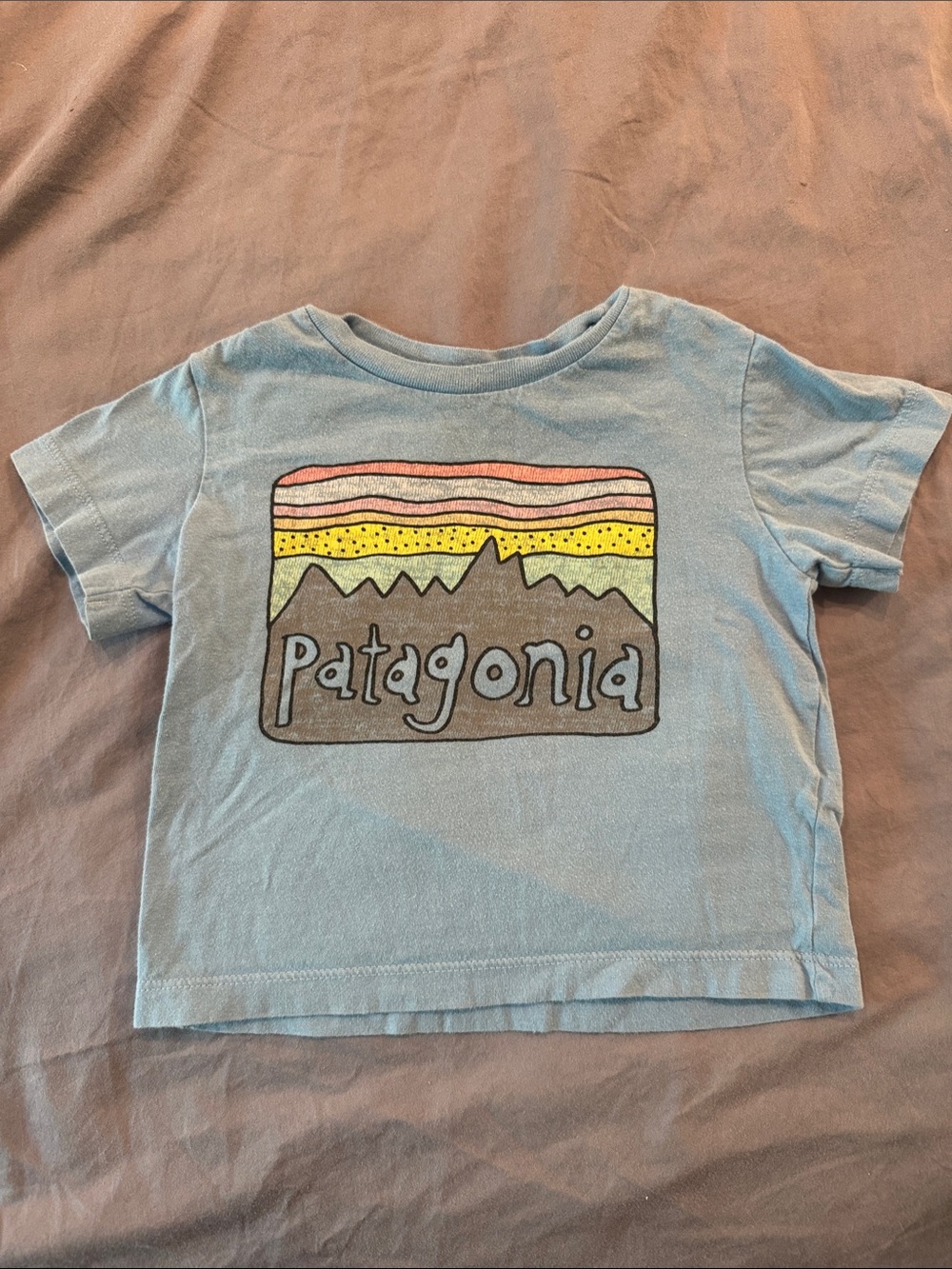Patagonia 6-12 month toddler Kids Pale Blue Graphic Mountain Tee